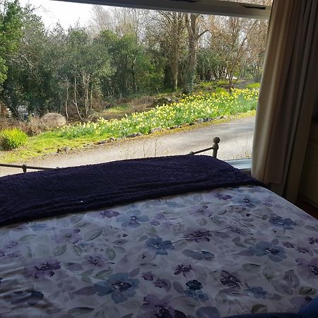 Hollybanks Apartment Moycullen Cameră foto